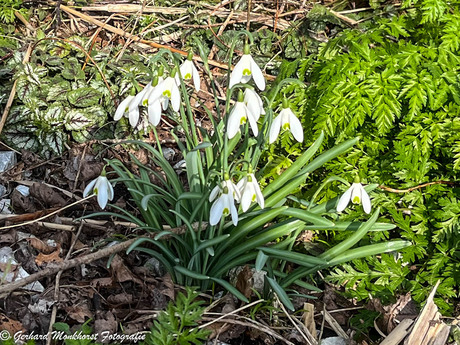 Hier wordt ik weer vrolijk van