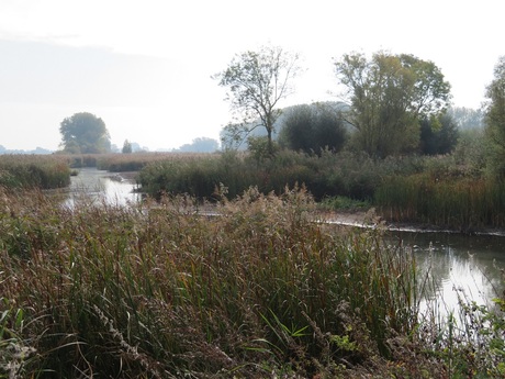 Traag stroomt de rivier