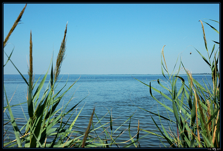 La Camargue 1