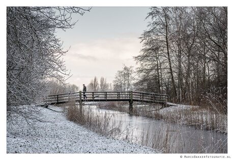 Walk in the park