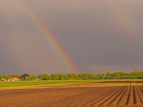 regenboog