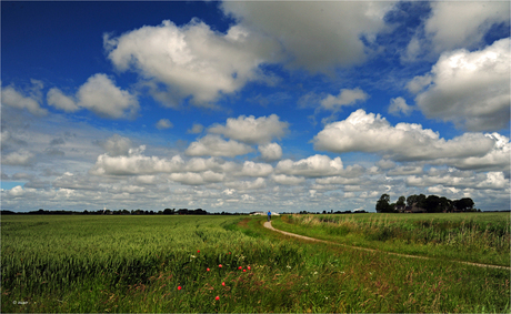 Fietsen op het Hoogeland