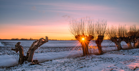 Een lichtpuntje in deze moeilijke tijd