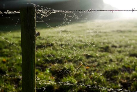 Mooie zondag ochtend