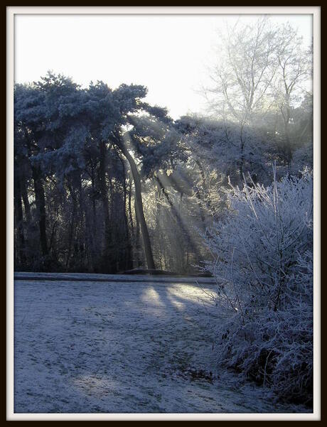 Zonnestralen....