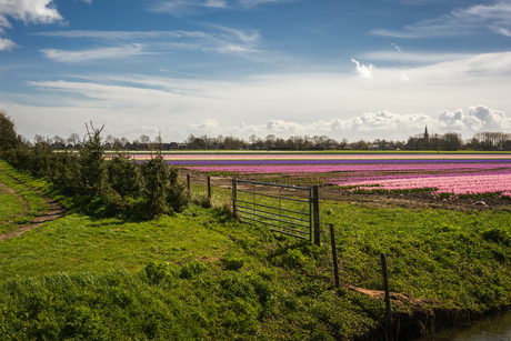 Vrolijk paasweer 🪻