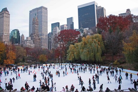 Autumn In Central Park New York