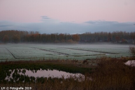 30-11-2019 Ochtend mist