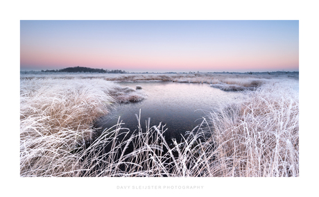 Cold morning Haaksbergerveen