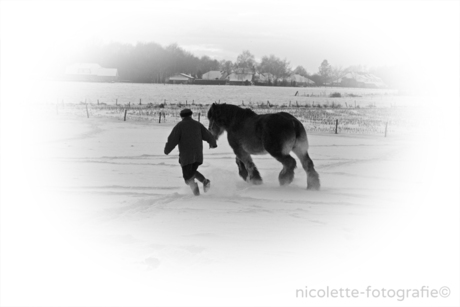 Boer-met-paard-nicolette-fotografie