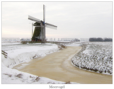 Poldermolen De Meervogel te Hoeksmeer