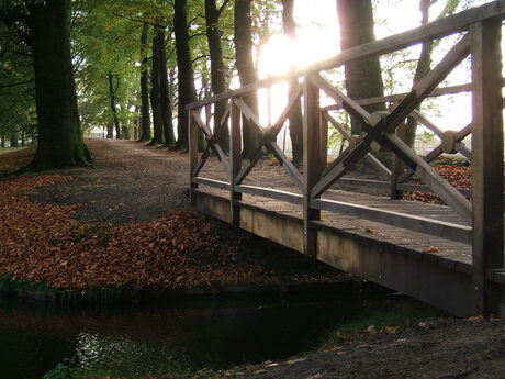 Bruggetje in herfstzon