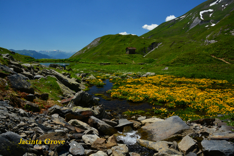 Berglandschap bij Col du petit Saint Bernard