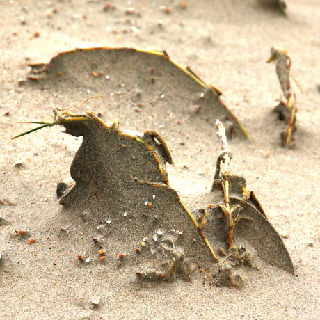 Zand en wind -2-