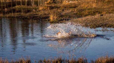 Rode Beek, Brunssum