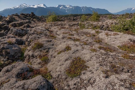 de Nisga’a lavavelden