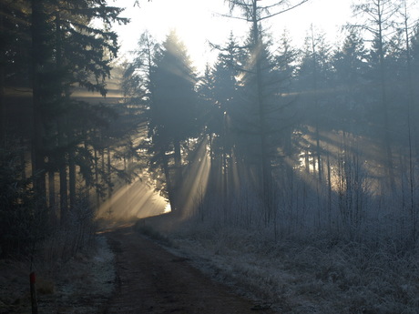 Winterlandschap