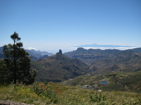 Zomers Tenerife!