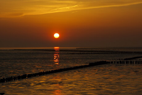 Zonsopgang in Holwerd