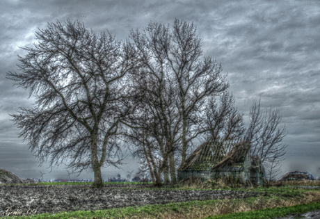 test hdr