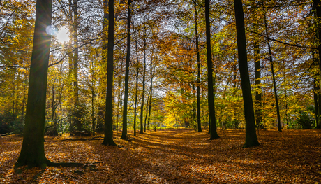 Herfst