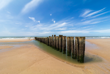 Nabij de kerf. Tussen Bergen aan zee en Schoorl aan zee