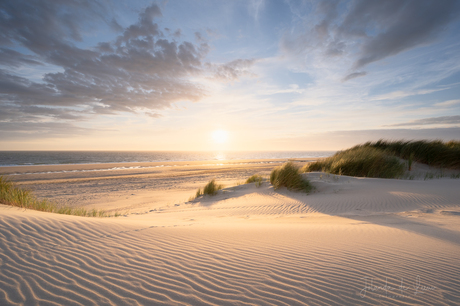 Golden sunset 