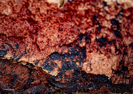 Abstract 