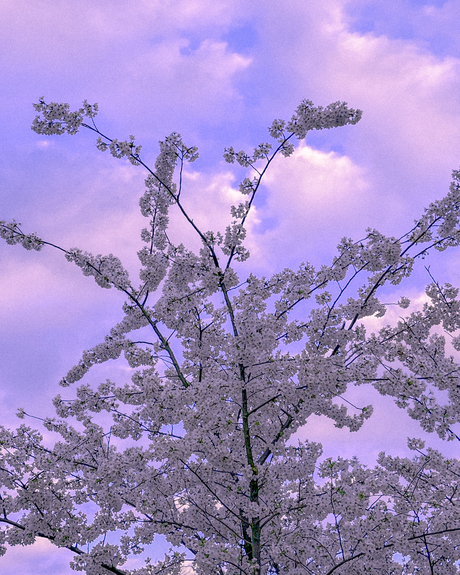 Spring is in the air