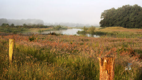 De Regge in de vroege ochtendzon.