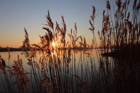 Zonsopkomst aan de Maas 