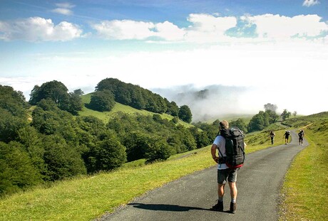 Camino 1