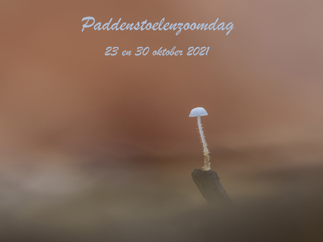 PADDENSTOELENZOOMDAG 2021