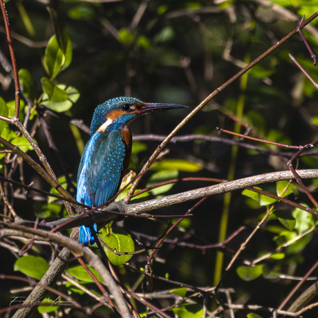 Een gewone dag, ongewoon mooi