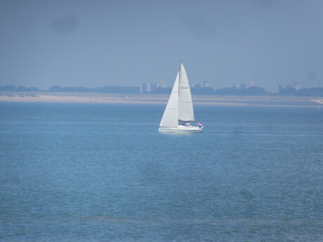 Zeilboot bij Vlissingen