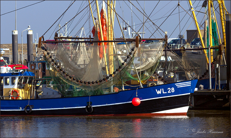 Vissersboot wl 28.