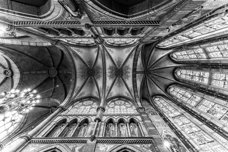 Liduina Basiliek Schiedam 