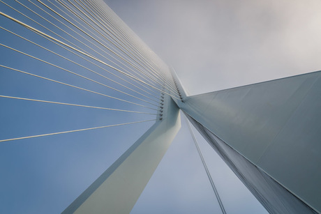 Erasmusbrug in neerdalende mist