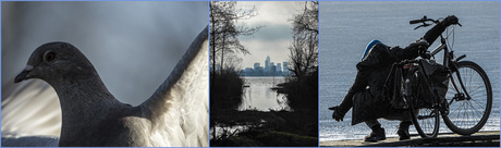 Tussen vleugel en wiel