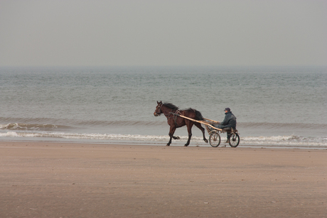 Paard en wagen