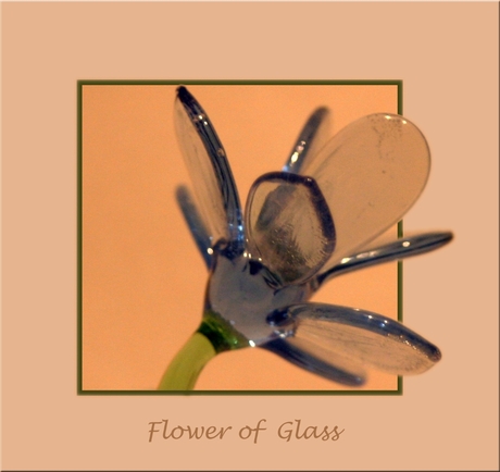 Flower of Glass