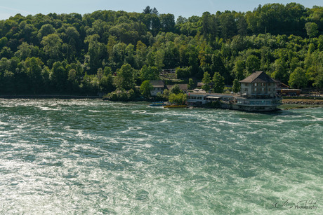 Reihnfall Schaffhausen