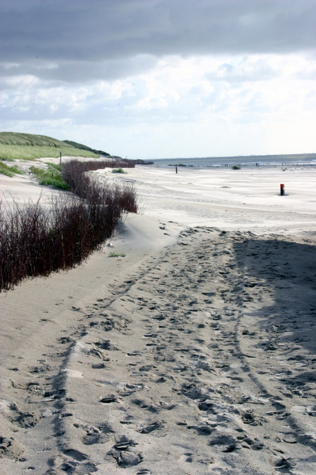 Strand Hollum/Ameland