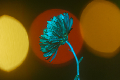 Bokeh