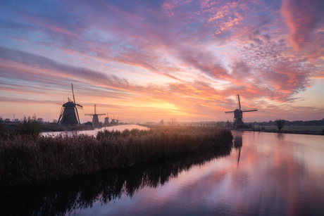 Kinderdijk at Sunrise