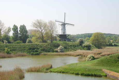 molen in Veere