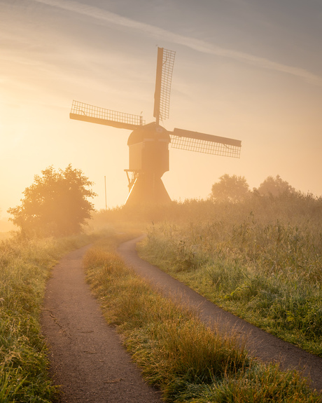 Windmill glory