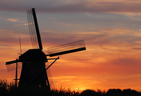 kinderdijk