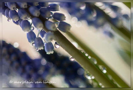 blauw met druppels 2