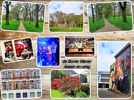 Collage   4 dagen  Assen Bonte Wever en omg   fotos  div datums  april 2024  